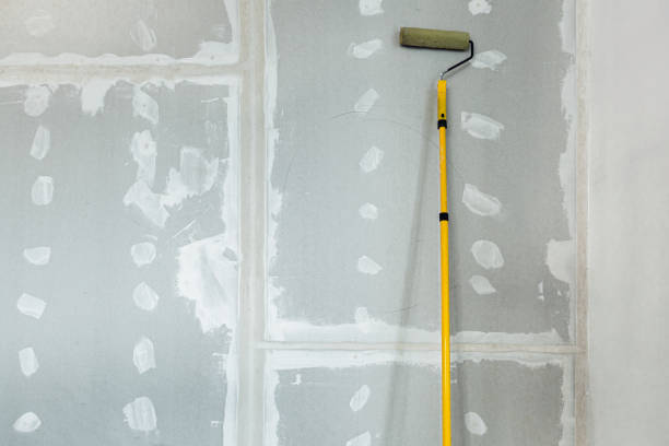 Best Water Damage & Mold Remediation  in Forest City, IA