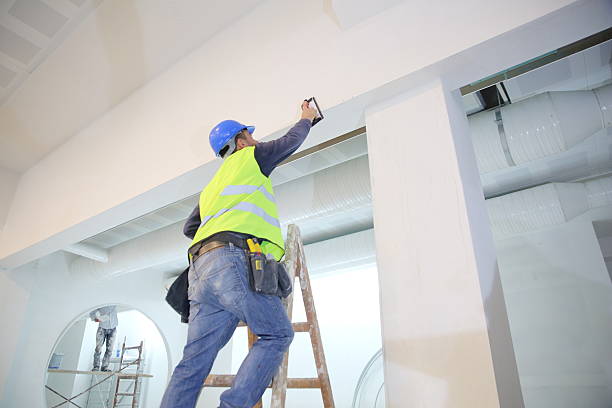 Best Attic Mold Removal  in Forest City, IA