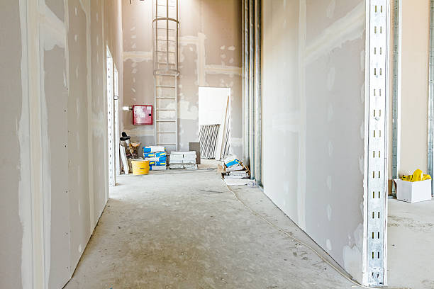Mold Odor Removal Services in Forest City, IA